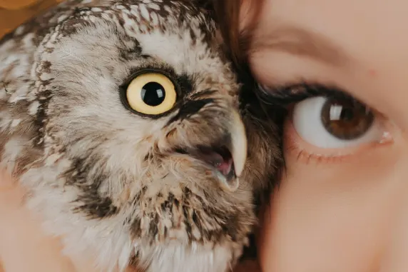 VegasWild Kasino Podpora